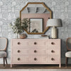 Asian Garden wall stencil with pick dresser. Man enters the room with his dog, places his keys on the dresser and exits the room video.